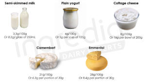 Protein amount different portions dairy products.