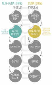 micellar casein caseinate non native process 